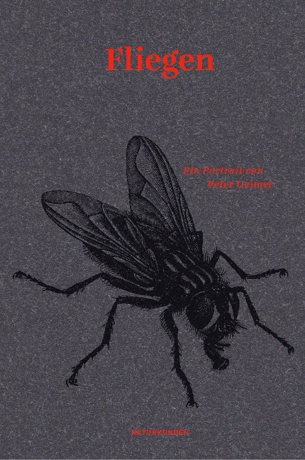 Fliegen - Peter Geimer