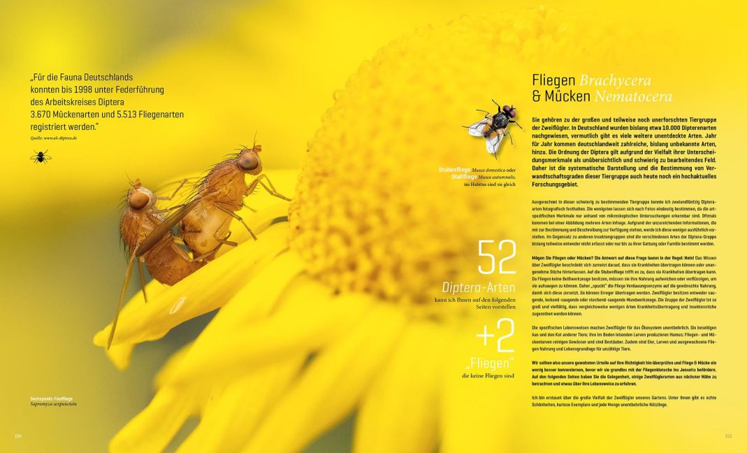 InsideView 10