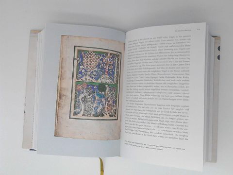 InsideView 8