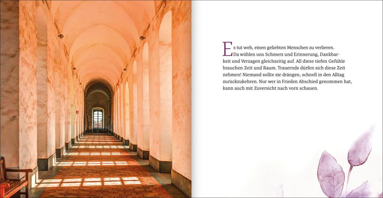 InsideView 8