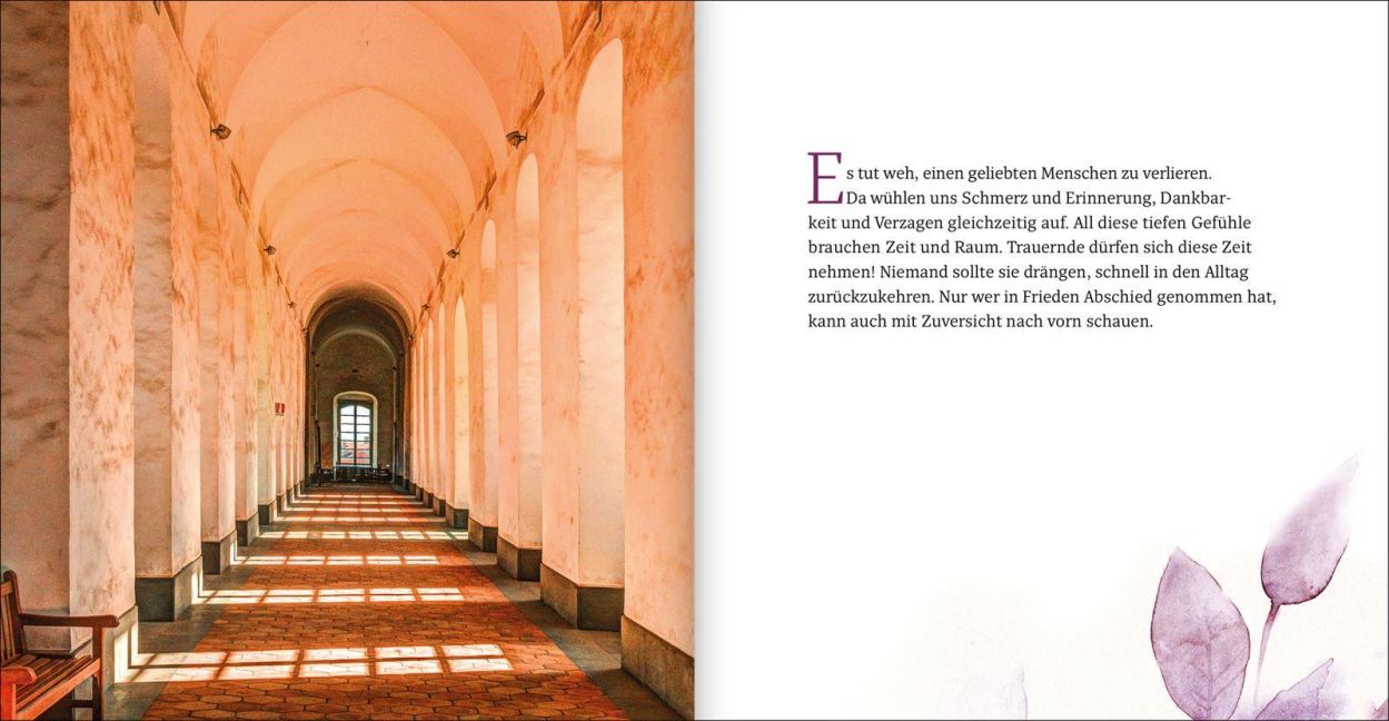InsideView 8