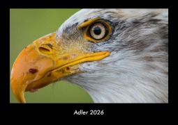 Cover-Bild zum Titel 'Adler 2026 Fotokalender DIN A3' von 'Tobias Becker'