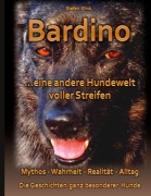 Cover-Bild zum Titel 'Bardino' von 'Stefan Klink'