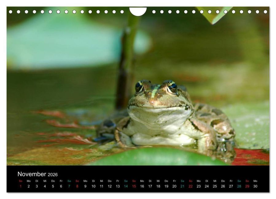 InsideView 3