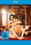 Cover-Bild zum Titel 'Kamasutra - Lust und Rache' von 'Paul Rupesh, Teenu Arora, Sreejith Edavana'