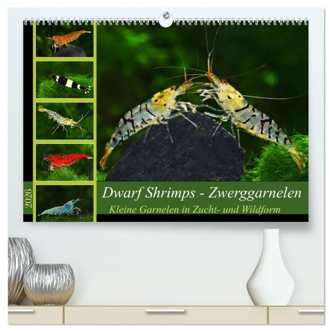 Dwarf Shrimps - Zwerggarnelen (hochwertiger Premium Wandkalender 2026 DIN A2 quer), Kunstdruck in Hochglanz - Rudolf Pohlmann