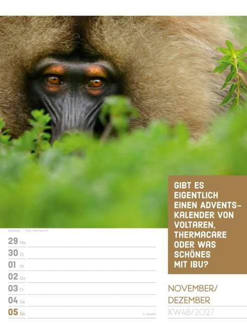 InsideView 52
