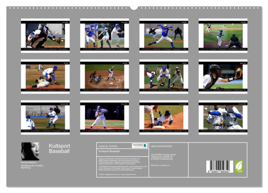 InsideView 4