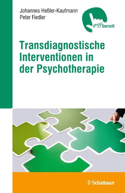 Transdiagnostische Interventionen in der Psychotherapie - Johannes Heßler-Kaufmann, Peter Fiedler