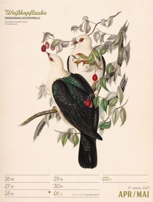 InsideView 21