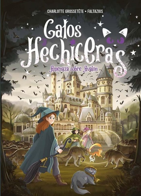 Gatos Y Hechiceras - Vol II - Charlotte Grossetete