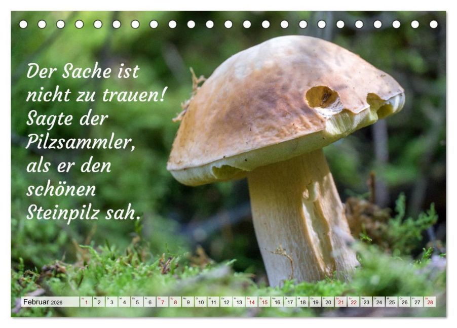 InsideView 7