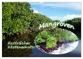 Mangroven - Natürlicher Küstenschutz (Wandkalender 2024 DIN A2 quer), CALVENDO Monatskalender - Ute Niemann