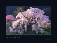 Cover-Bild zum Titel 'Aufgeblüht - KUNTH Wandkalender 2027' von ''