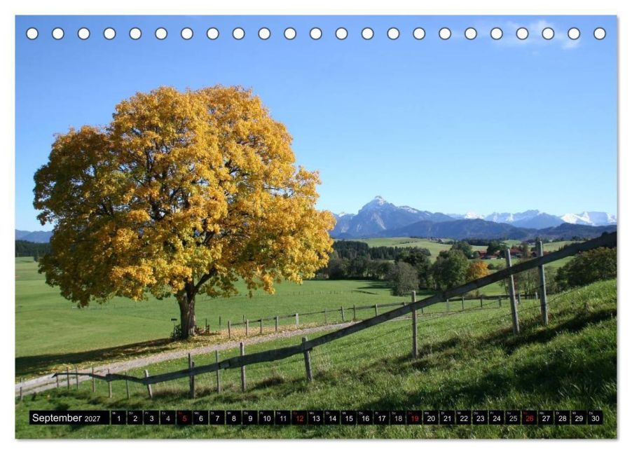 InsideView 14