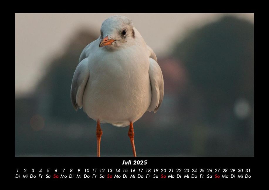 InsideView 11