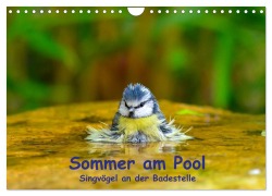 Cover-Bild zum Titel 'Sommer am Pool - Singvögel an der Badestelle (Wandkalender 2026 DIN A4 quer), CALVENDO Monatskalender' von 'Ulrich Plemper'