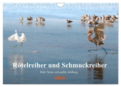 Cover-Bild zum Titel 'Rötelreiher und Schmuckreiher (Wandkalender 2026 DIN A4 quer), CALVENDO Monatskalender' von 'Iris Editha Schacht'
