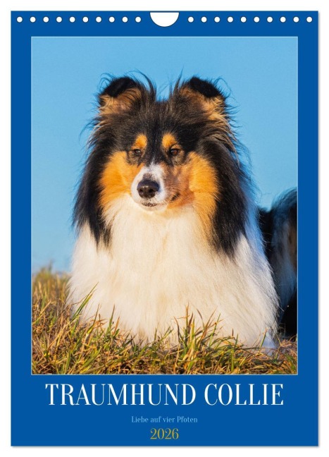 Traumhund Collie - Liebe auf vier Pfoten (Wandkalender 2026 DIN A4 hoch), CALVENDO Monatskalender - Sigrid Starick