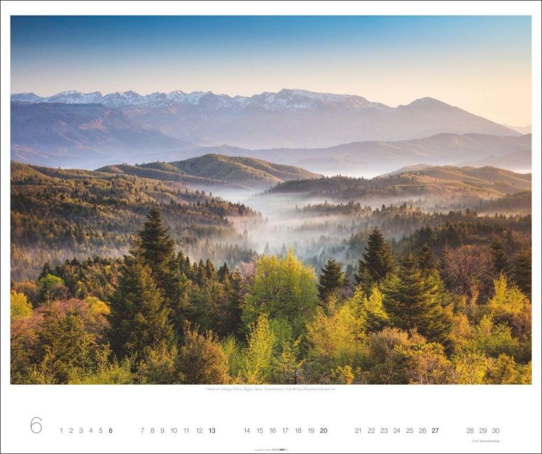 InsideView 6