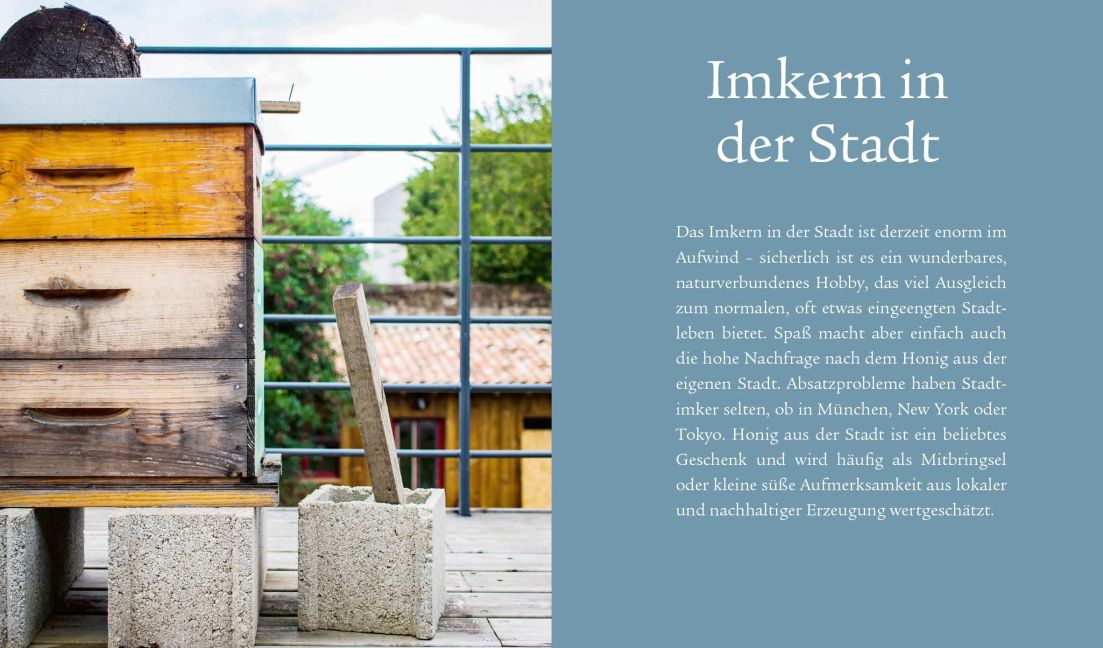 InsideView 3