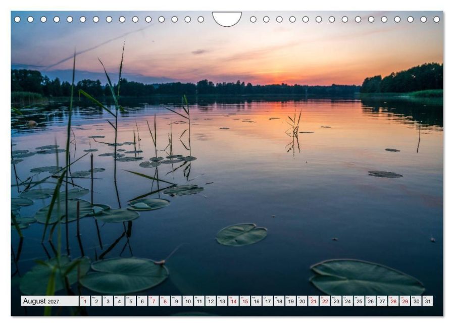 InsideView 13