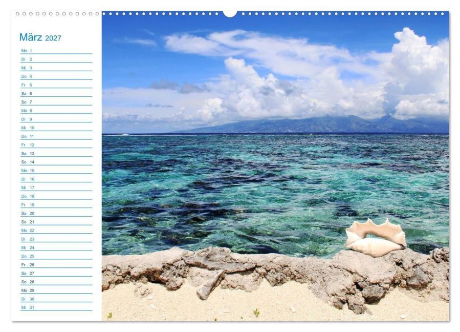 InsideView 8