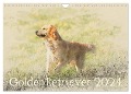 Golden Retriever 2024 (Wandkalender 2024 DIN A4 quer), CALVENDO Monatskalender - Andrea Redecker