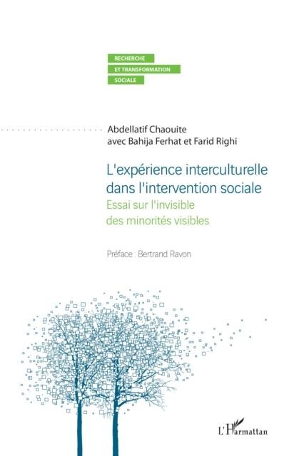 L'experience interculturelle dans l'intervention sociale - 