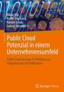 Cover-Bild zum Titel 'Public Cloud Potenzial in einem Unternehmensumfeld' von 'Niklas Feil, Gabriel Abrantes, André Bögelsack, Ramón Schulz'