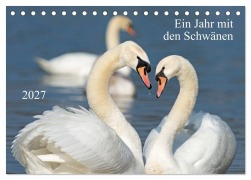 Cover-Bild zum Titel 'Ein Jahr mit den Schwänen (Tischkalender 2027 DIN A5 quer), CALVENDO Monatskalender' von 'Roland T. Frank'