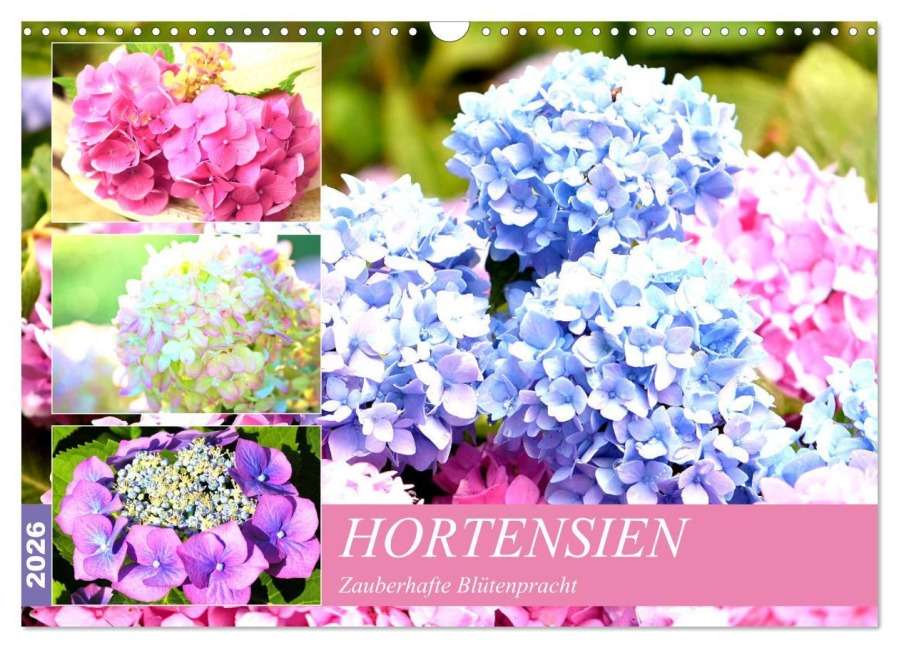 Hortensien. Zauberhafte Blütenpracht (Wandkalender 2026 DIN A3 quer), CALVENDO Monatskalender - Rose Hurley