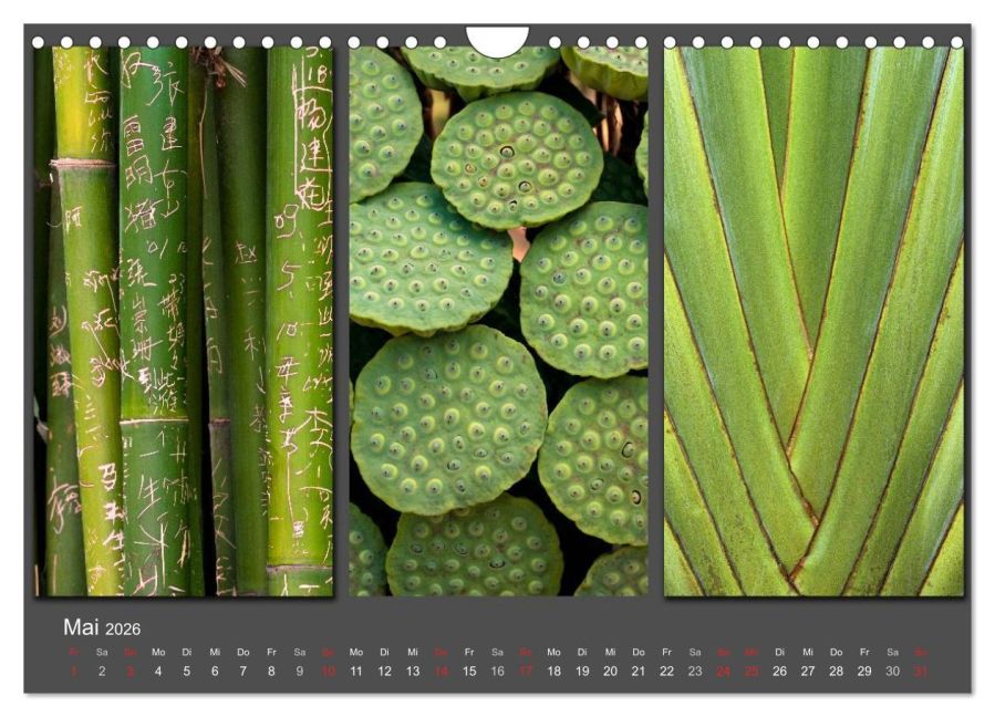 InsideView 10