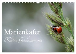 Cover-Bild zum Titel 'Marienkäfer - kleine Glücksmomente (Wandkalender 2026 DIN A3 quer), CALVENDO Monatskalender' von 'Karin Dederichs'