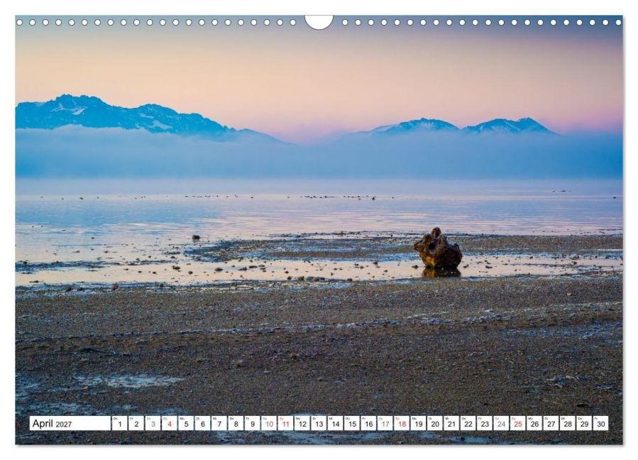 InsideView 9