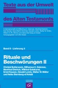 Cover-Bild zum Titel 'Rituale und Beschwörungen II' von ''