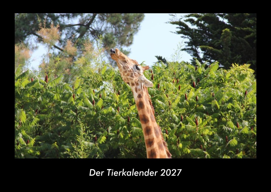 Der Tierkalender 2027 Fotokalender DIN A3 - Tobias Becker