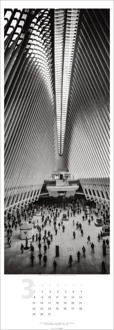 InsideView 3
