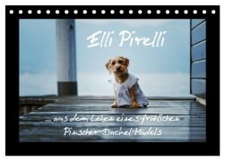 Elli Pirelli... aus dem Leben eines fröhlichen Pinscher-Dackel-Mädels (Tischkalender 2025 DIN A5 quer), CALVENDO Monatskalender - Kathrin Köntopp