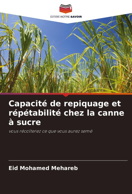 Capacité de repiquage et répétabilité chez la canne à sucre - Eid Mohamed Mehareb