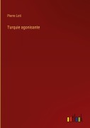 Cover-Bild zum Titel 'Turquie agonisante' von 'Pierre Loti'
