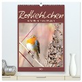 Rotkehlchen, süße kleine Knutschkugeln (hochwertiger Premium Wandkalender 2025 DIN A2 hoch), Kunstdruck in Hochglanz - Sabine Löwer