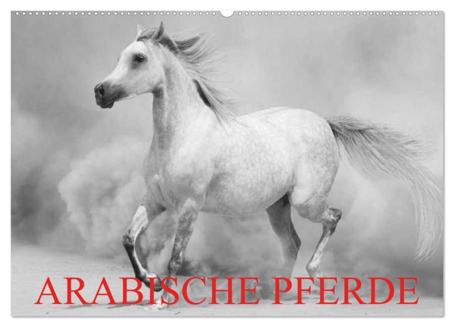 Arabische Pferde (Wandkalender 2026 DIN A2 quer), CALVENDO Monatskalender - Elisabeth Stanzer