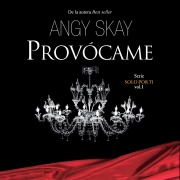 Cover-Bild zum Titel 'Provócame' von 'Angy Skay'