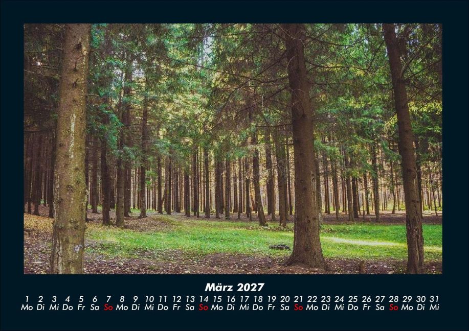 InsideView 7