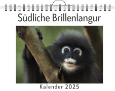 Cover-Bild zum Titel 'Südliche Brillenlangur' von 'Clara Zimmermann'