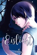 Cover-Bild zum Titel 'Eislicht 04' von 'Anike Hage'