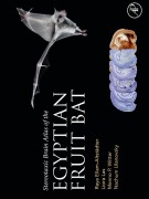 Cover-Bild zum Titel 'Stereotaxic Brain Atlas of the Egyptian Fruit Bat' von 'Raya Eilam-Altstadter, Liora Las, Nachum Ulanovsky, Menno Witter'