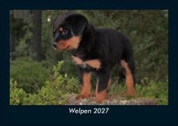 Cover-Bild zum Titel 'Welpen 2027 Fotokalender DIN A5' von 'Tobias Schmitt, Kevin Heber'