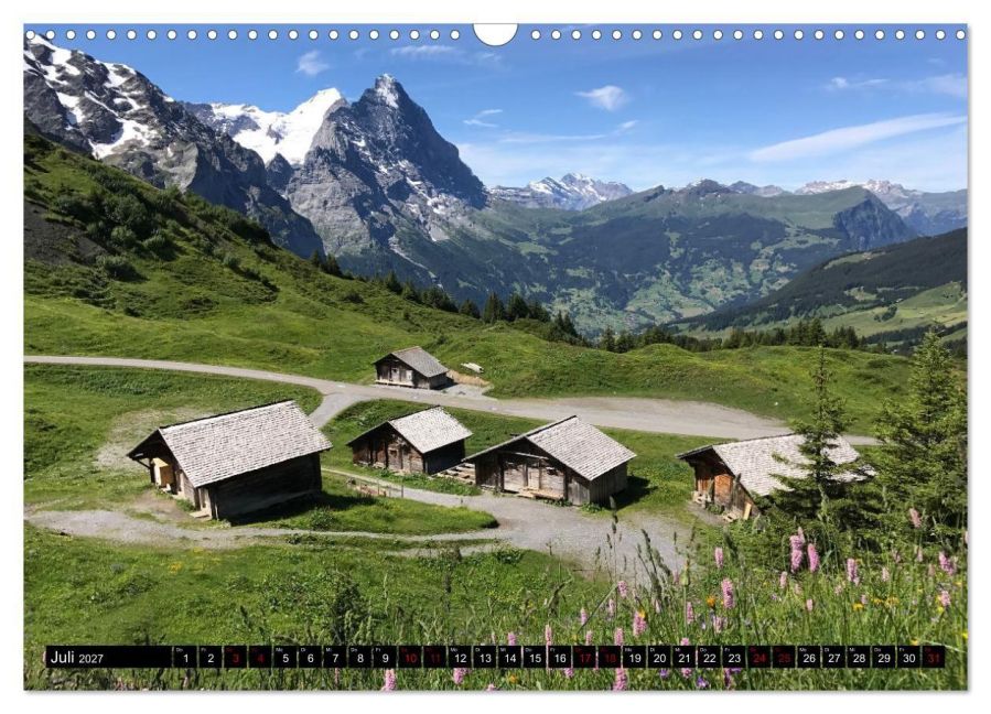 InsideView 12